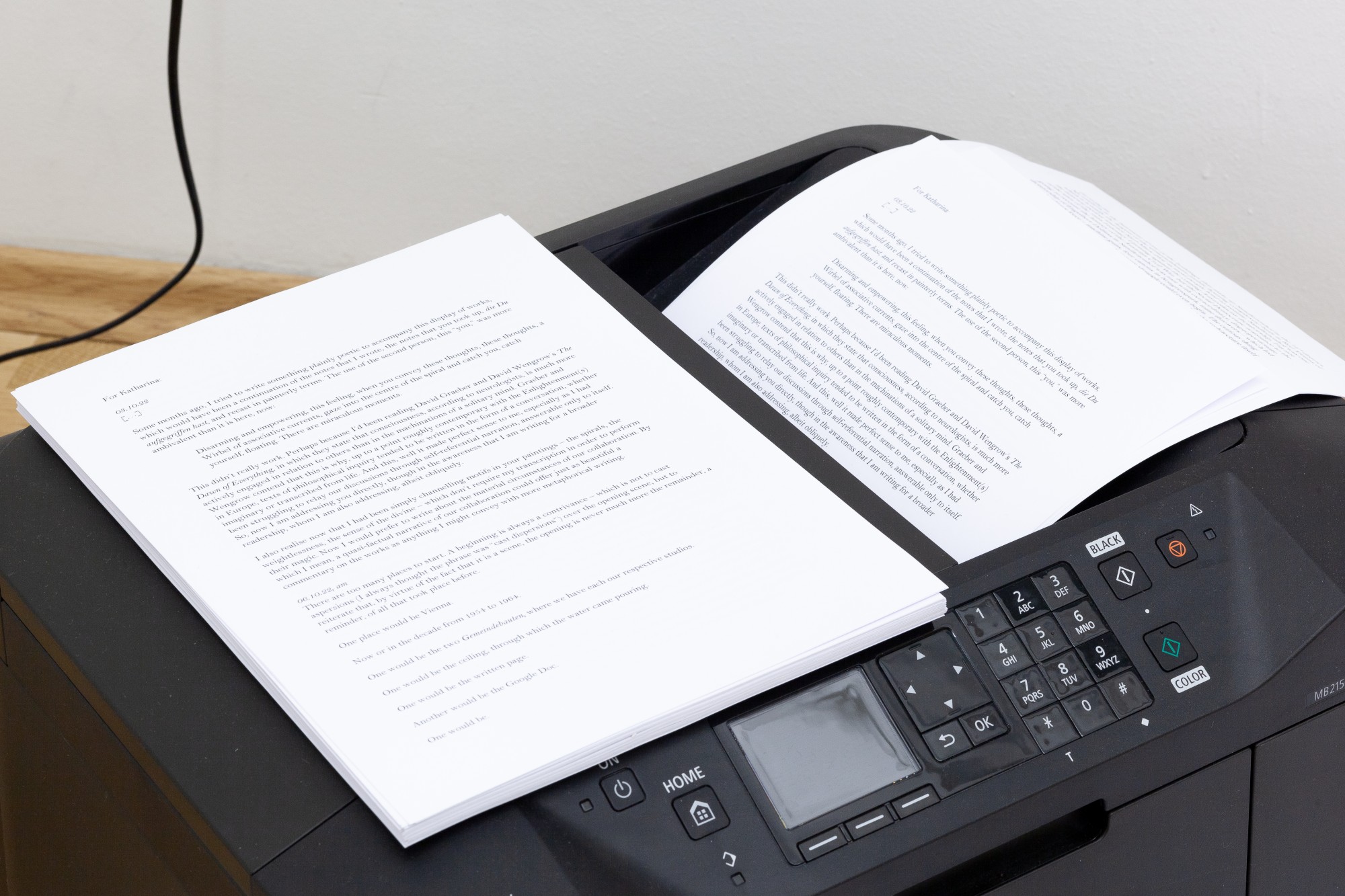 Miriam Stoney, Textual Situation (Too Many Words), 2022