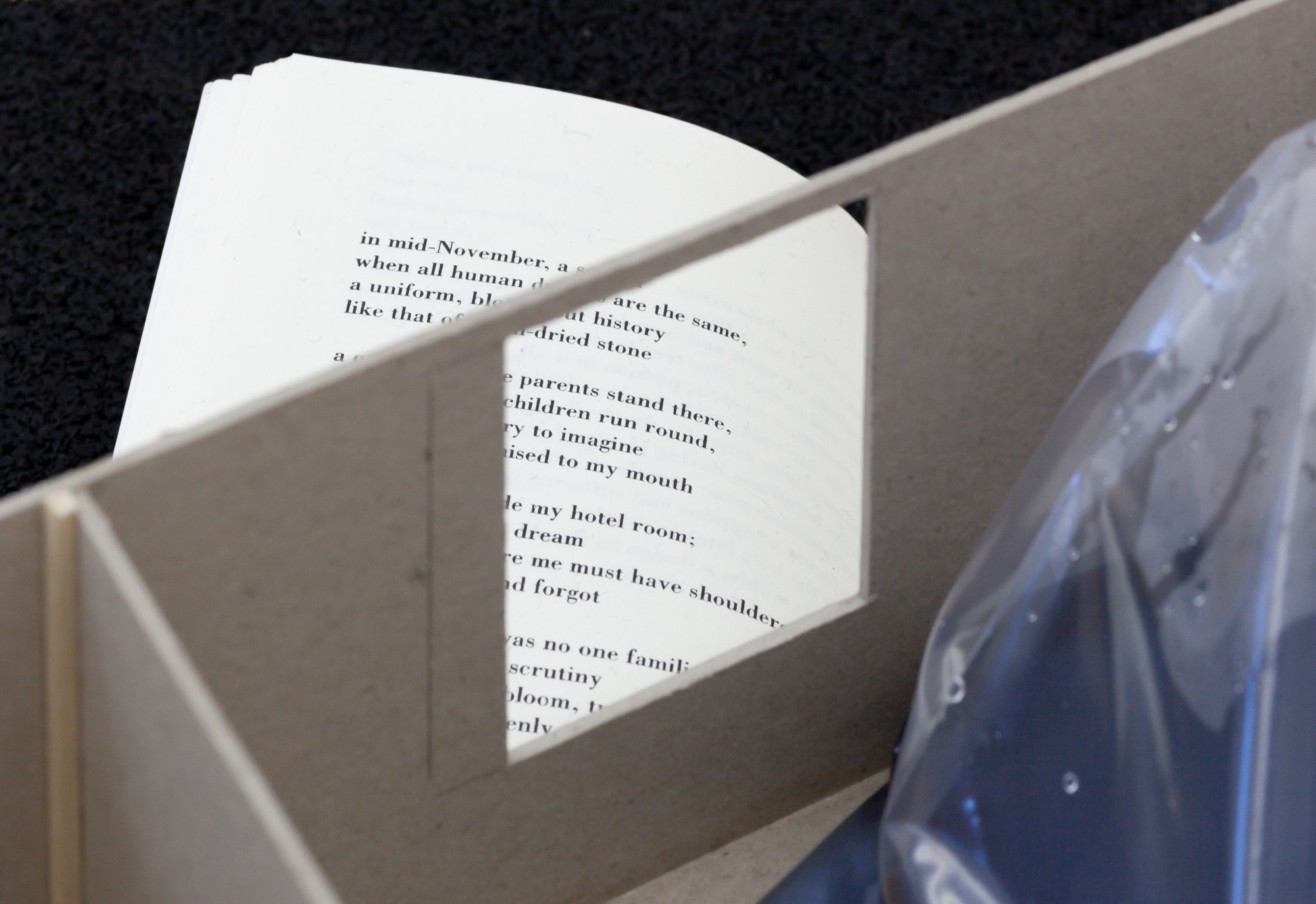 Miriam Stoney, Between Dwelling, 2022