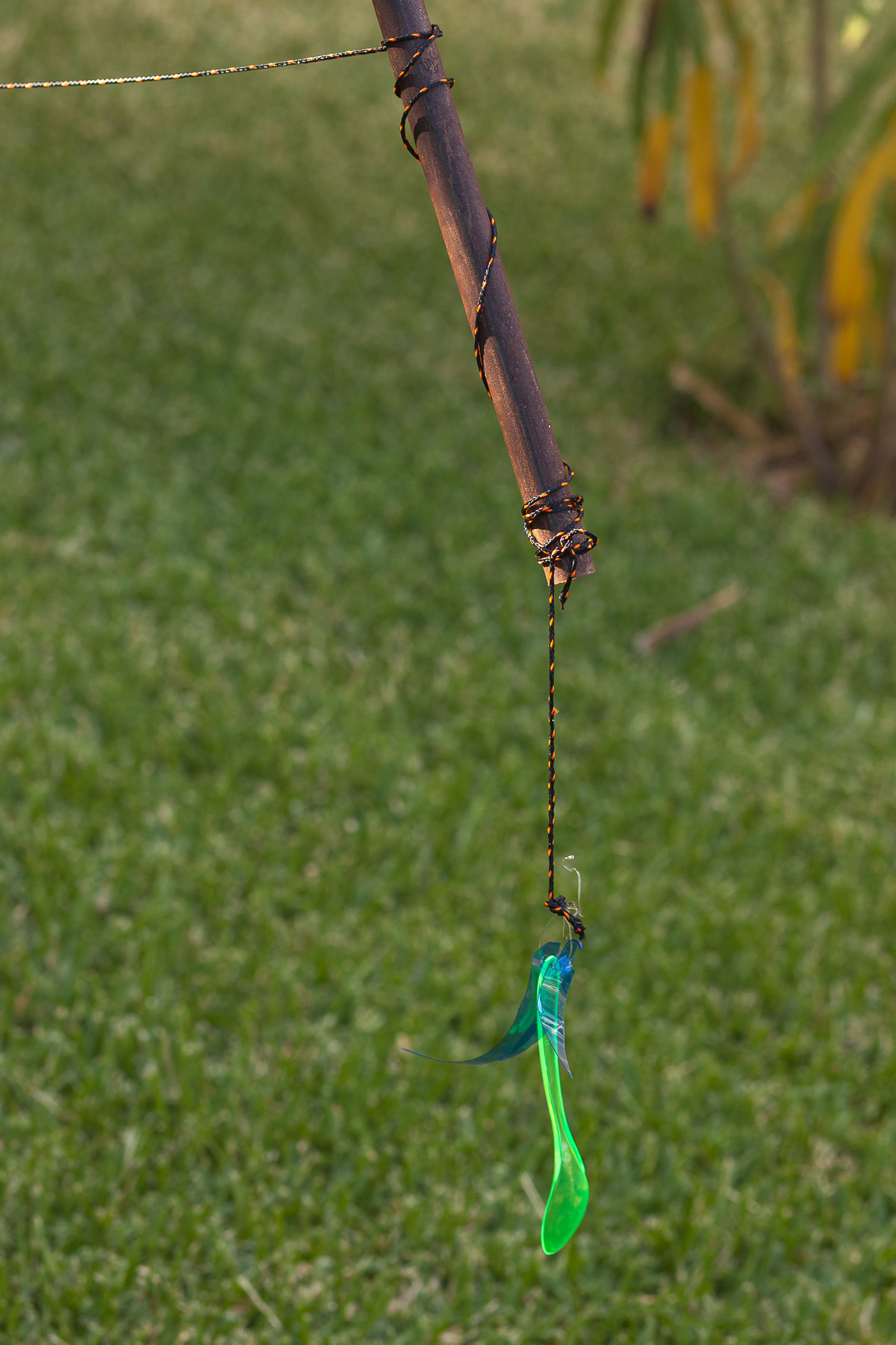 Flavio Palasciano, untitled (bait), 2019