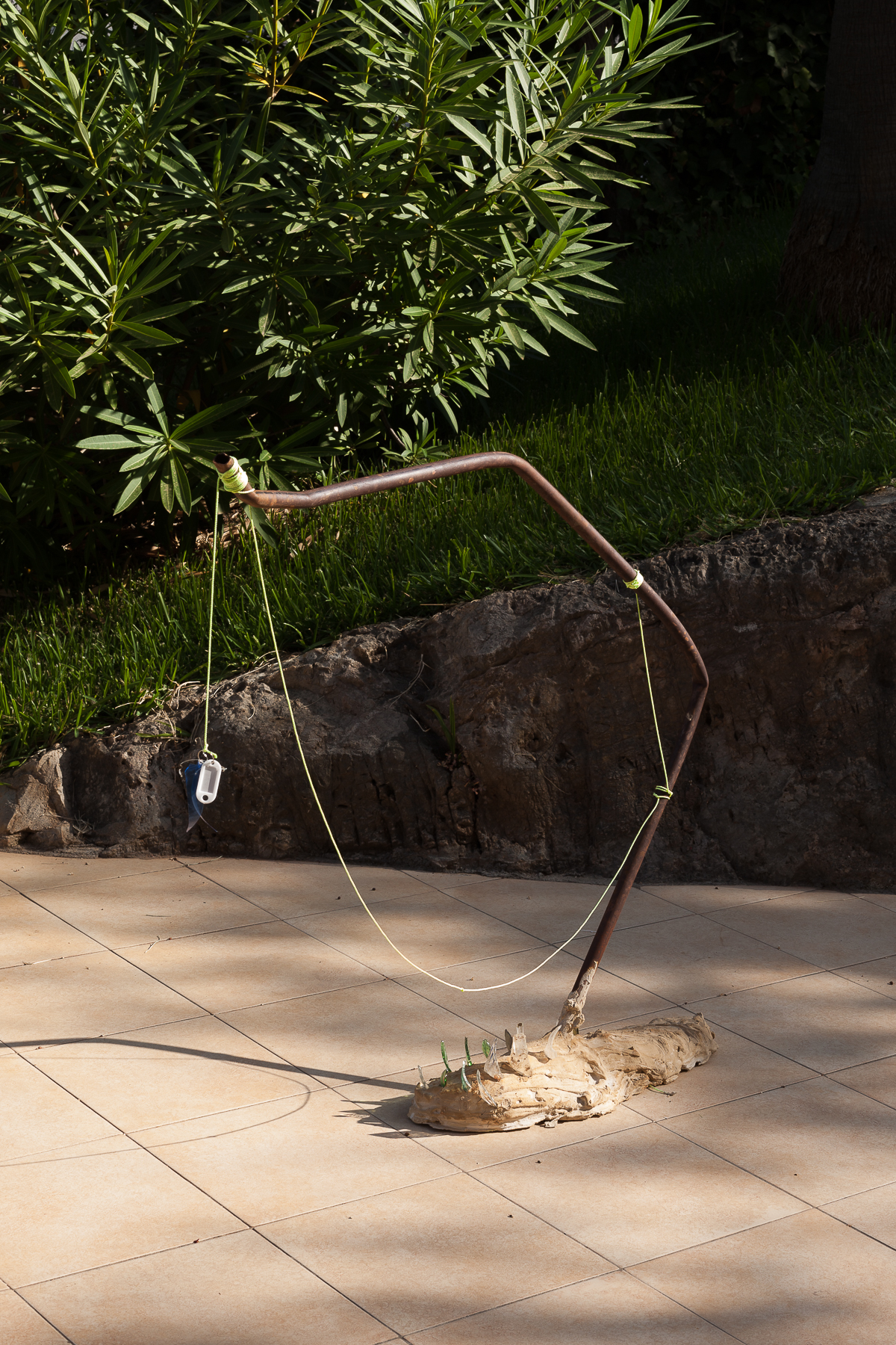 Flavio Palasciano, untitled (bait), 2019