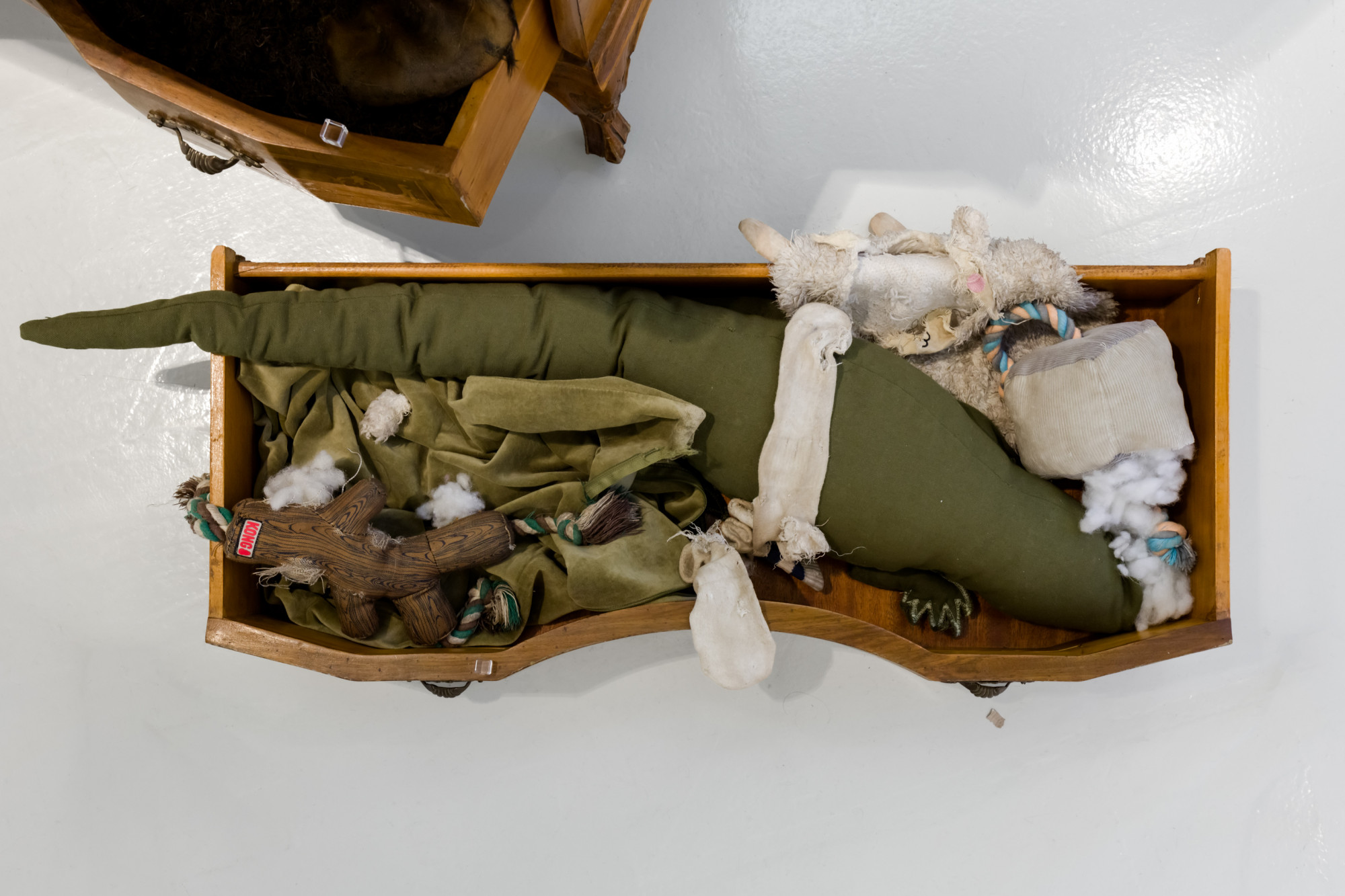Miriam Stoney, Like a Dog, 2024.