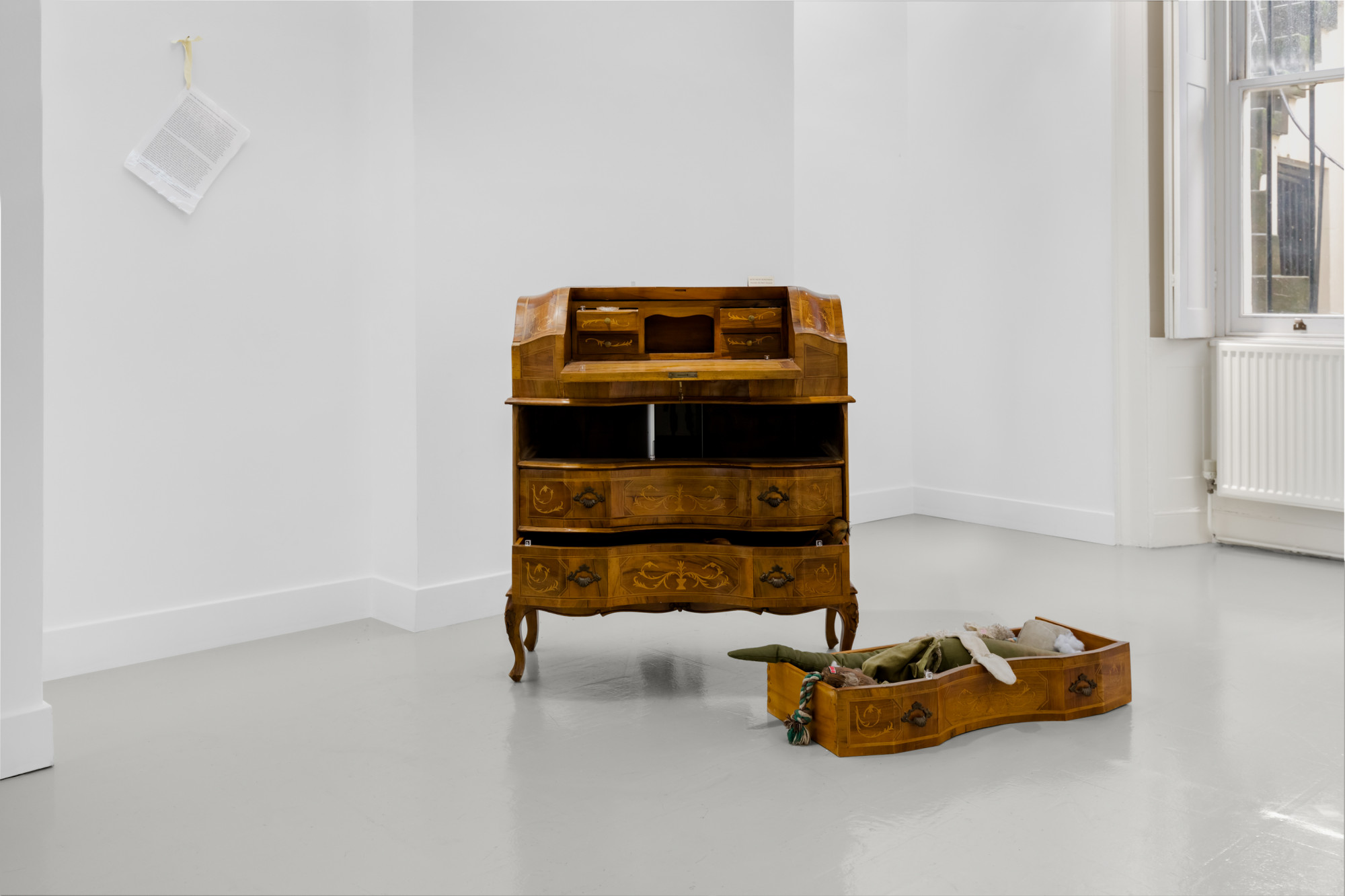 Miriam Stoney, Like a Dog, 2024.
