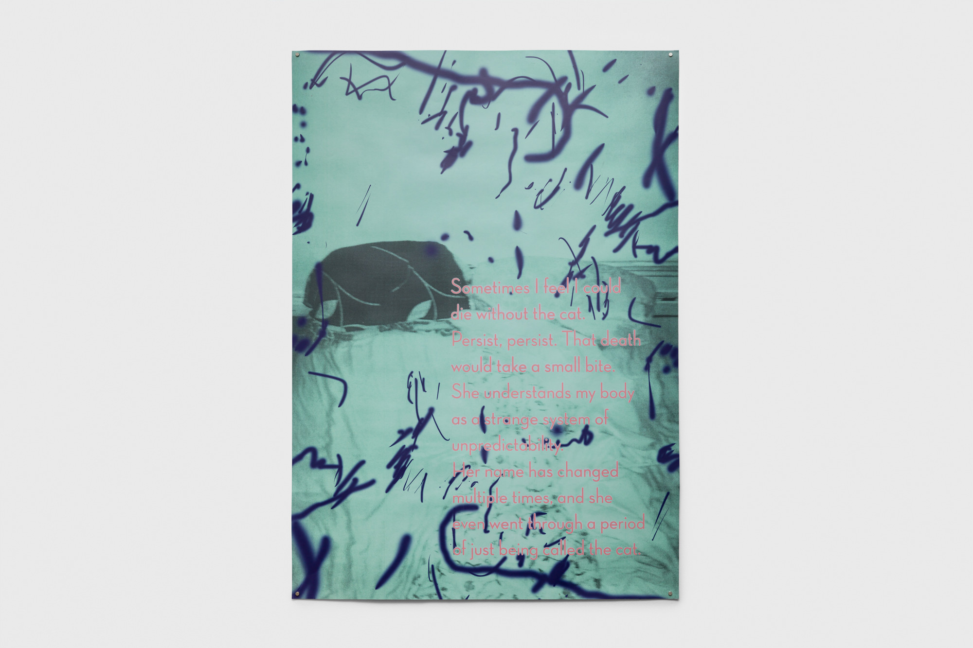 Hatty Nestor, Feline friendly, 2024, poster design by Max Grau.