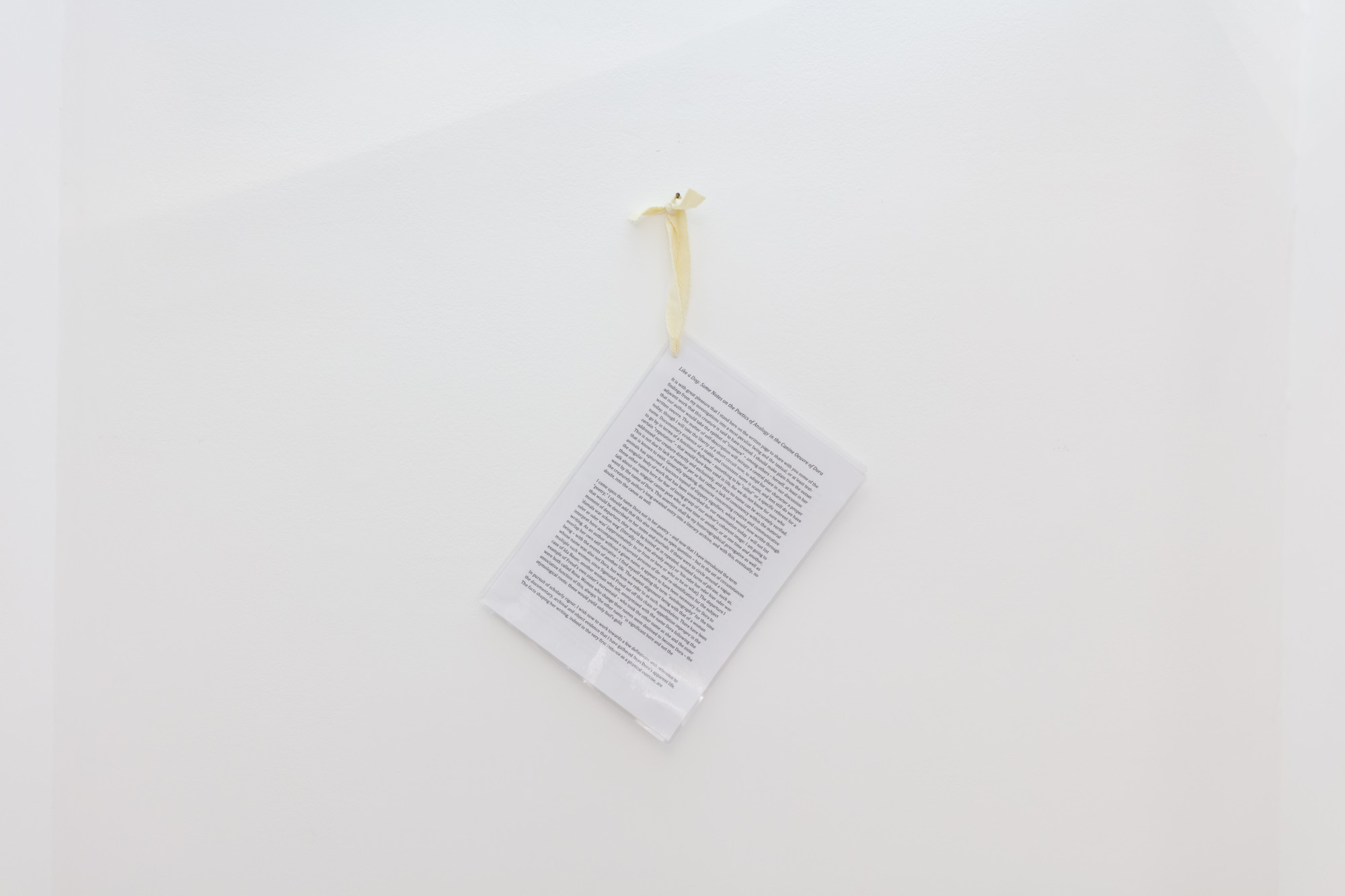 Miriam Stoney, Like a Dog, 2024