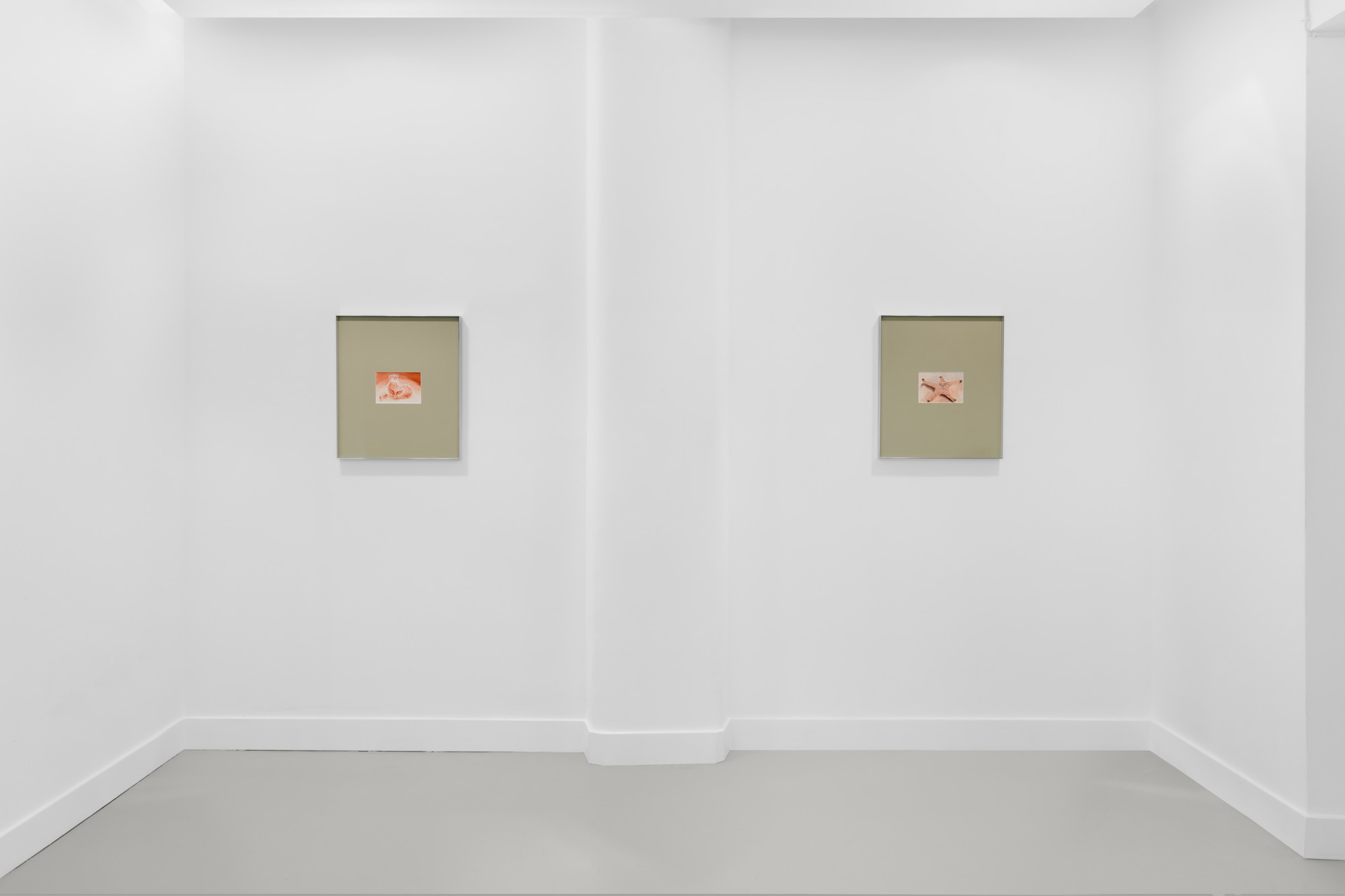 Encounters / Begegnungen, exhibition view, 2024.